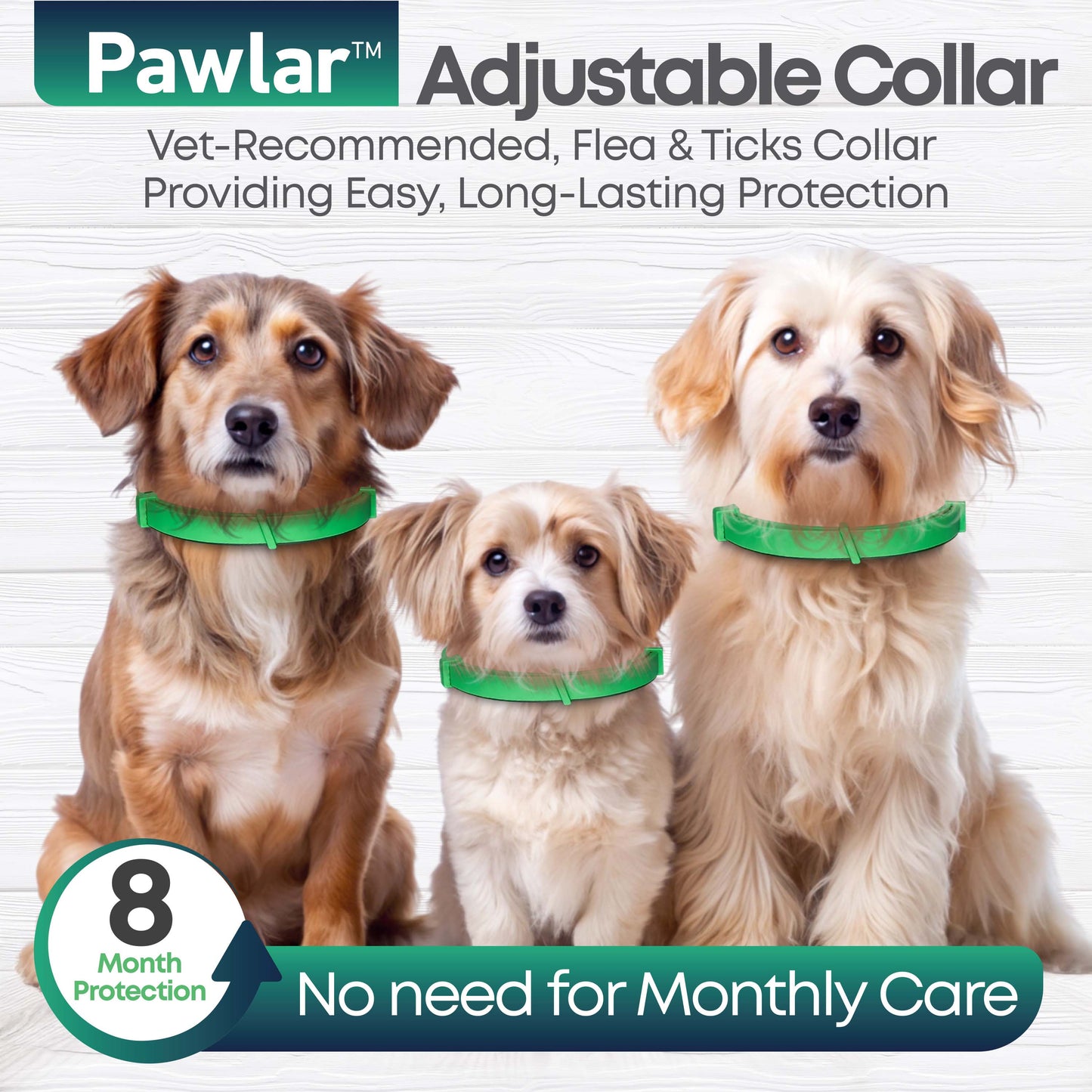 Pawlar™ | 8 Months Flea and Tick Free