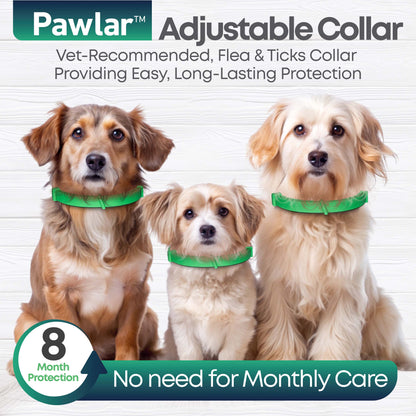 Pawlar™ | 8 Months Flea and Tick Free