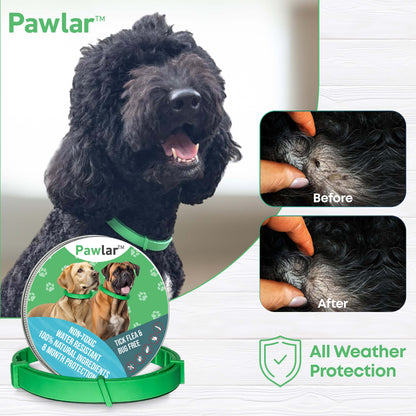 Pawlar™ | 8 Months Flea and Tick Free