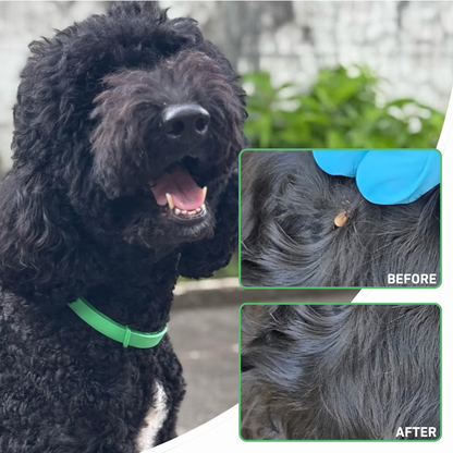 Pawlar™ | 8 Months Flea & Tick Free